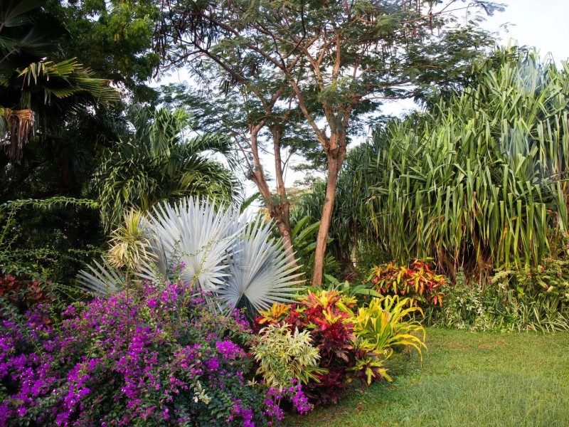 Grenada Garden Festival