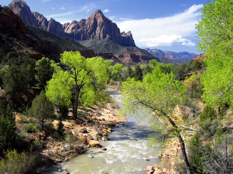 USA - Zion National Park