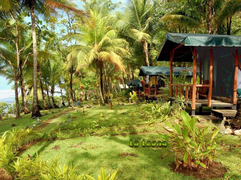 La Leona Ecolodge - Hotelanlage