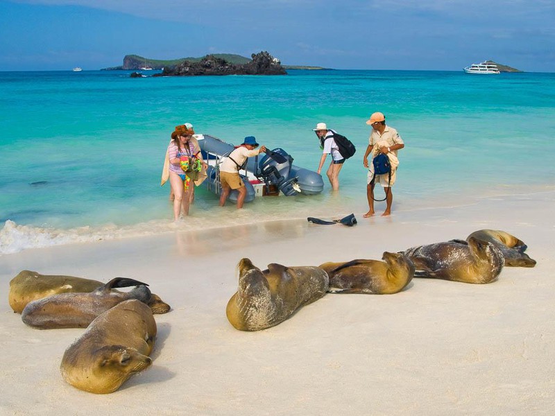 Gardner Bay, Española