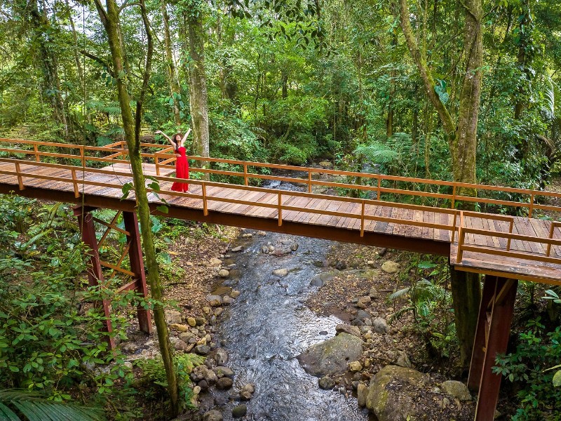 Chachagua Rainforest Hotel 