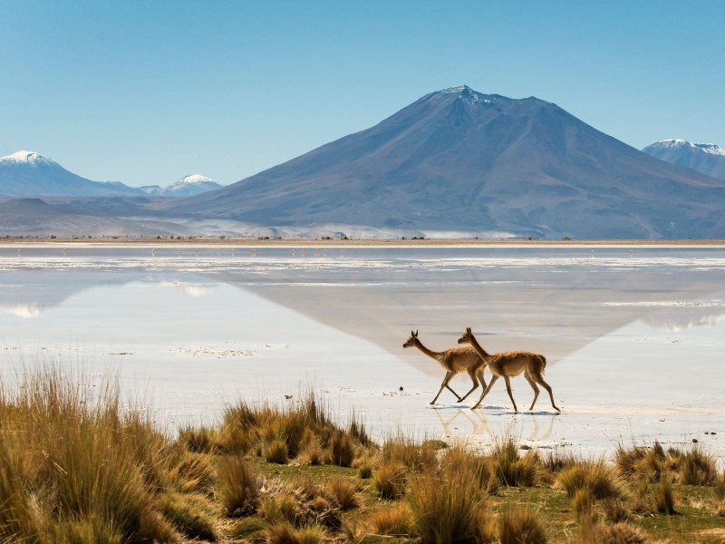 San Pedro de Atacama