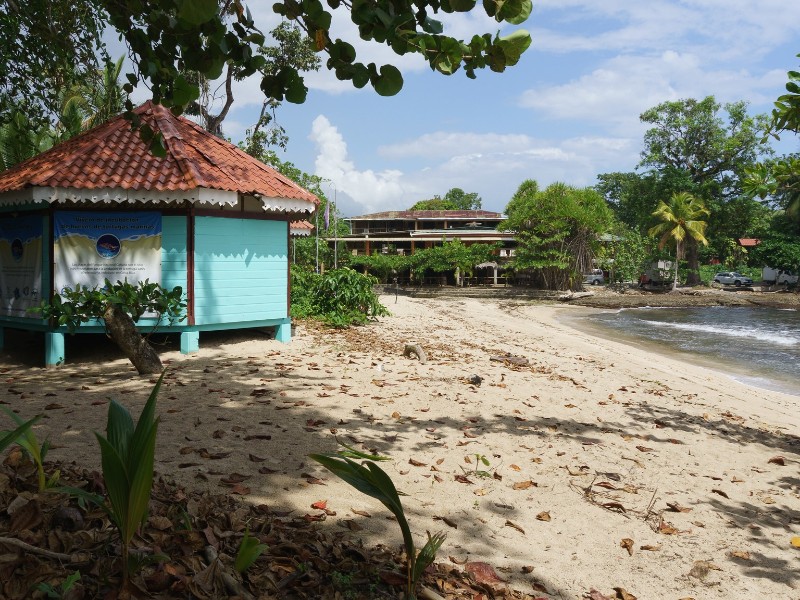 Cahuita 