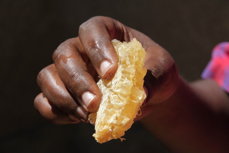 Maasai Honey Project in Ololosokwan