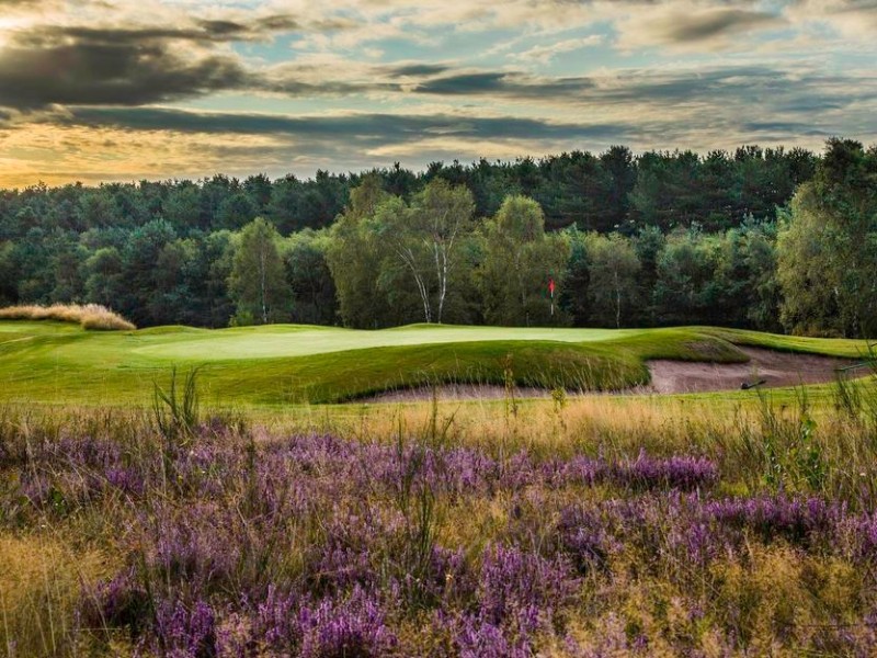 Sherwood Forest Golf club