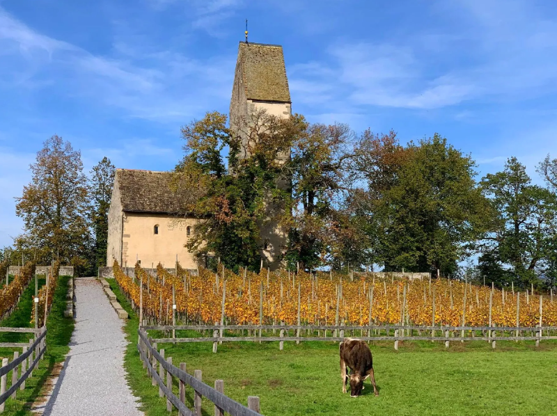 Donna Anna Premium Yachting Zürich