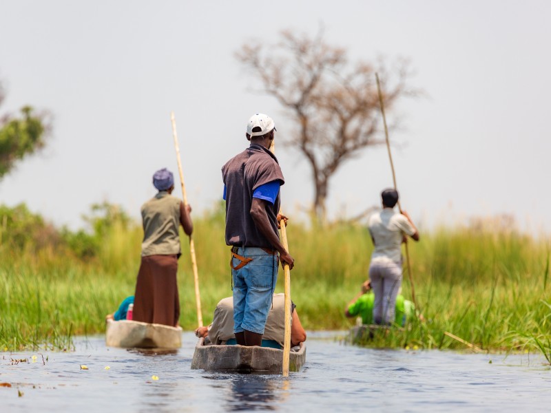 Botswana - Maun