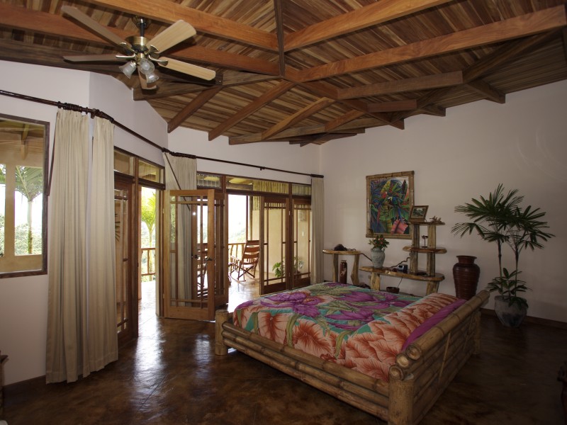 Lost Iguana - Standard Deluxe