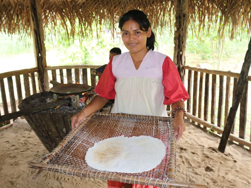 Cassava-Kochen mit den Sionas-Indianern