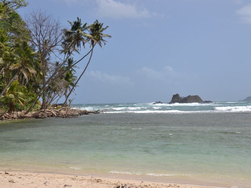 Mamey Strand