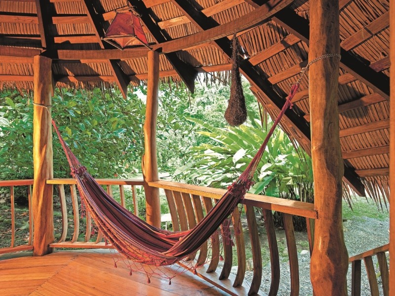 Tree House Lodge - Terrasse