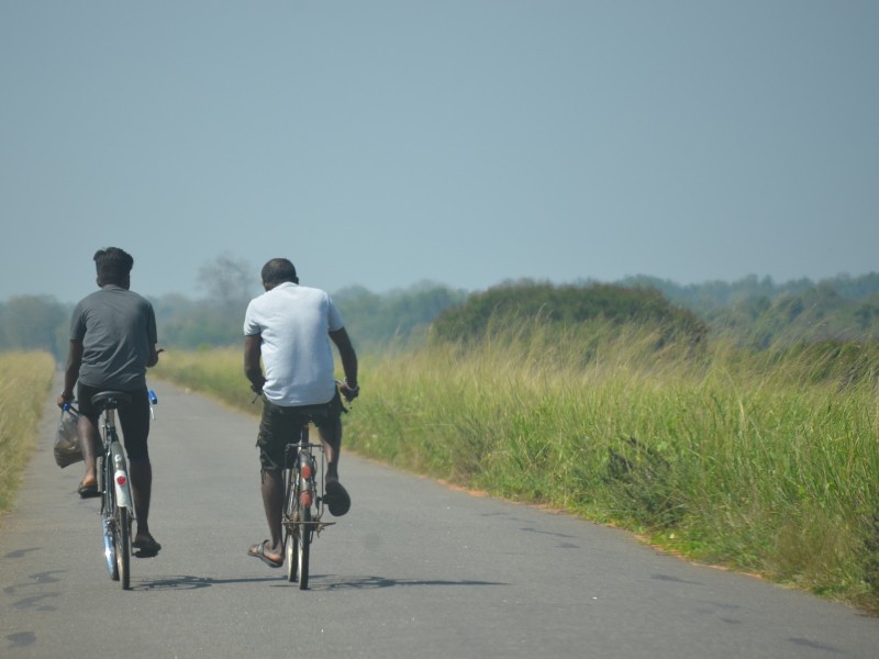 Bike Tour
