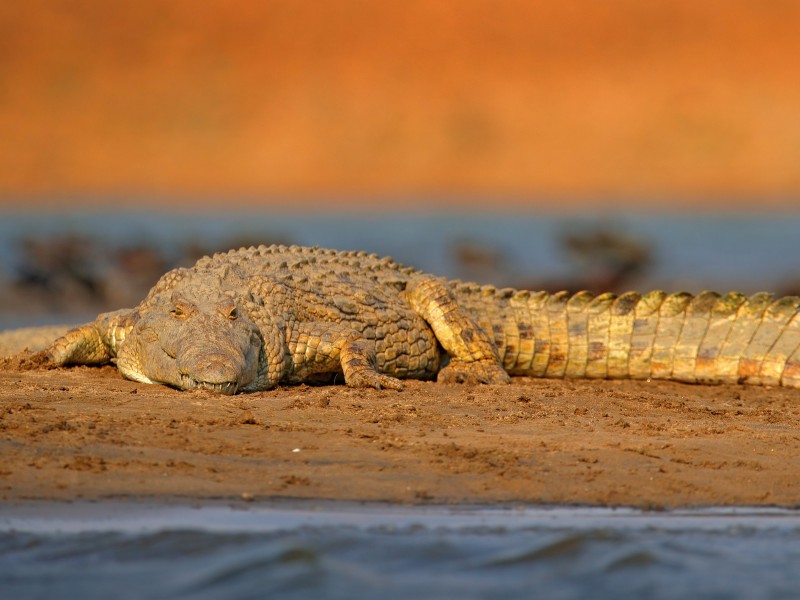 Namibia - Divundu - Okavango river