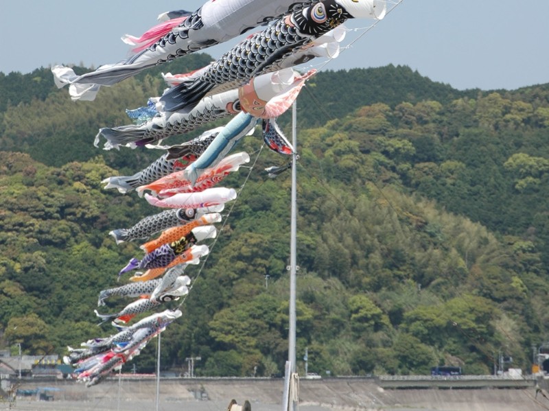 Japan Fish Lantern