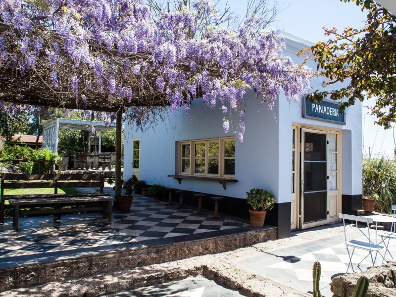 Finca Narbona - Aussenbereich