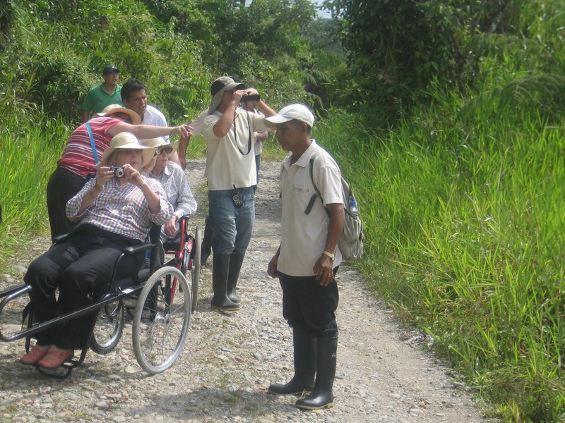 Ausflug in den Urwald