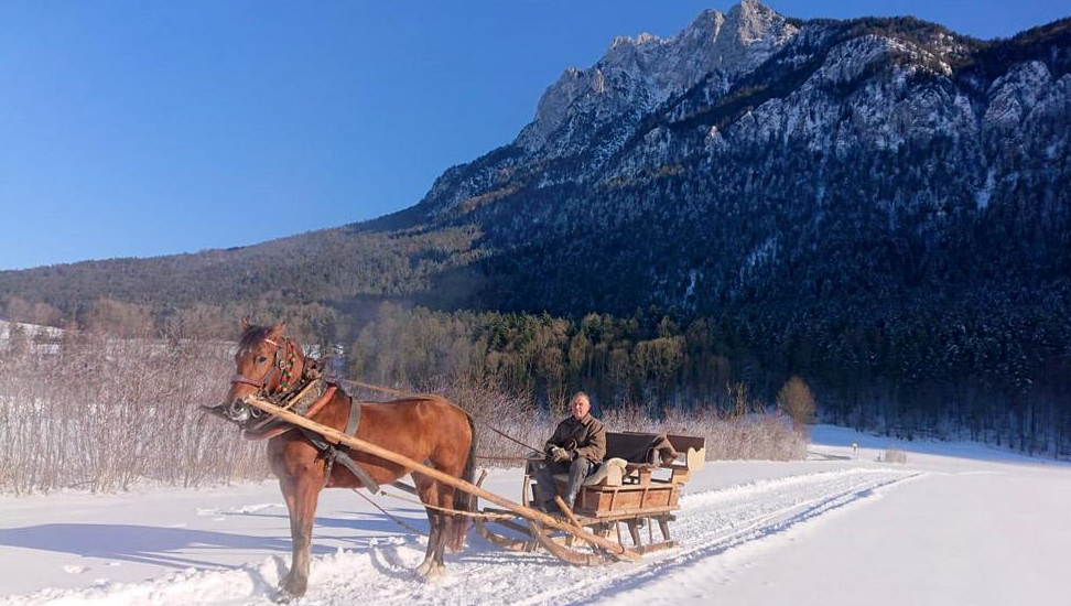 Horse-drawn Sleigh Rides 