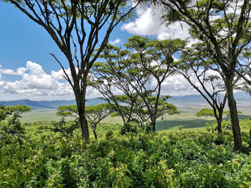 Ngorongoro Crater