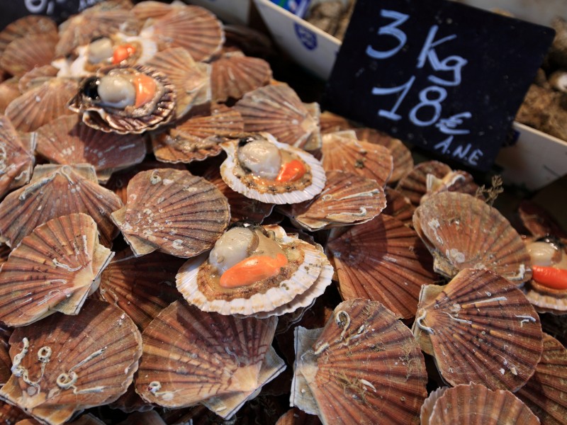 France - Trouville-sur-Mer