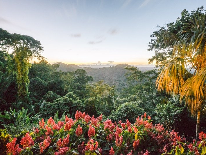 Copal Tree Lodge - Aussicht