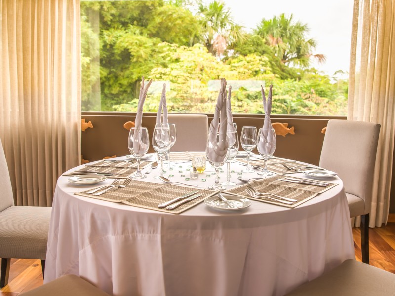 Delfin III Essbereich