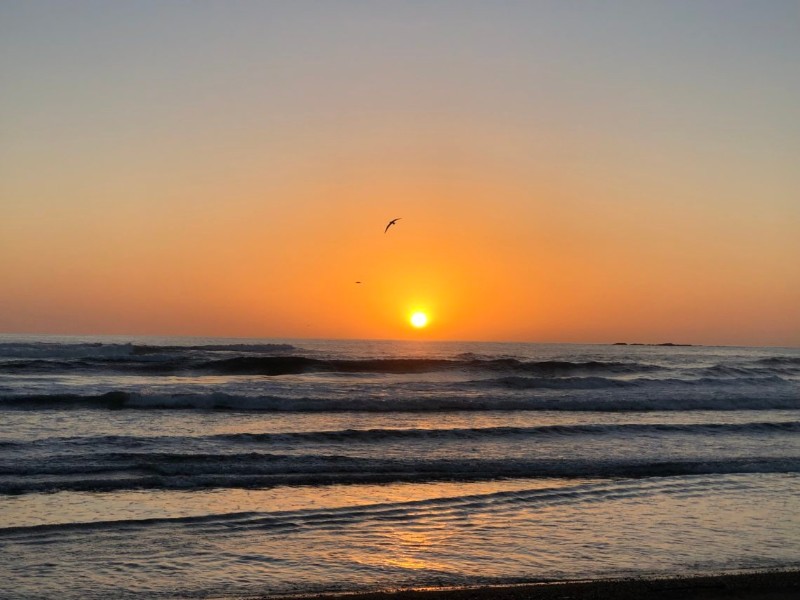 Playa Buena Vista - Samara