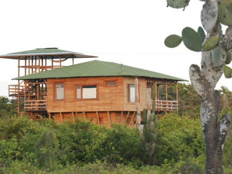 Die Lodge mit Aussichtsturm