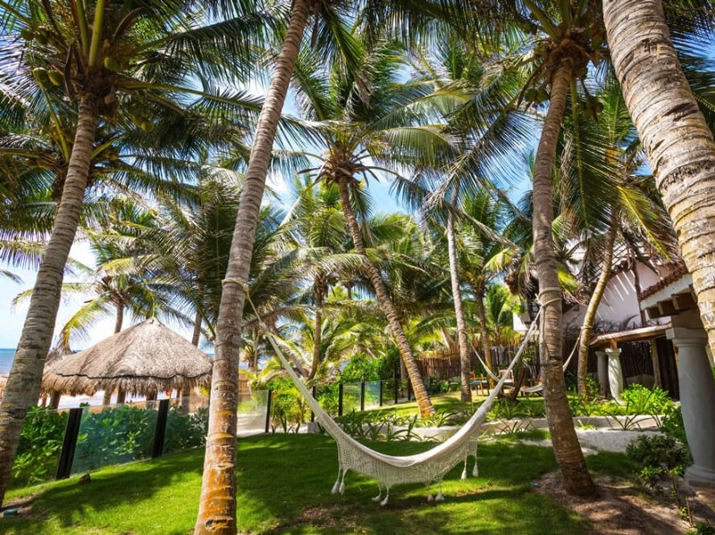 Ana y José - Garten