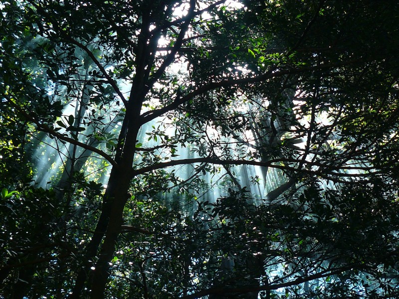 Rincon de la Vieja