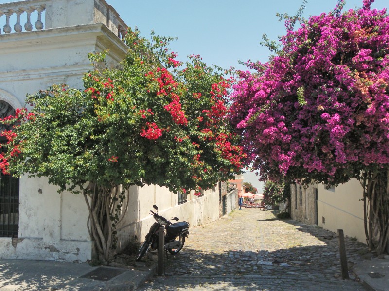 Colonia de Sacramento