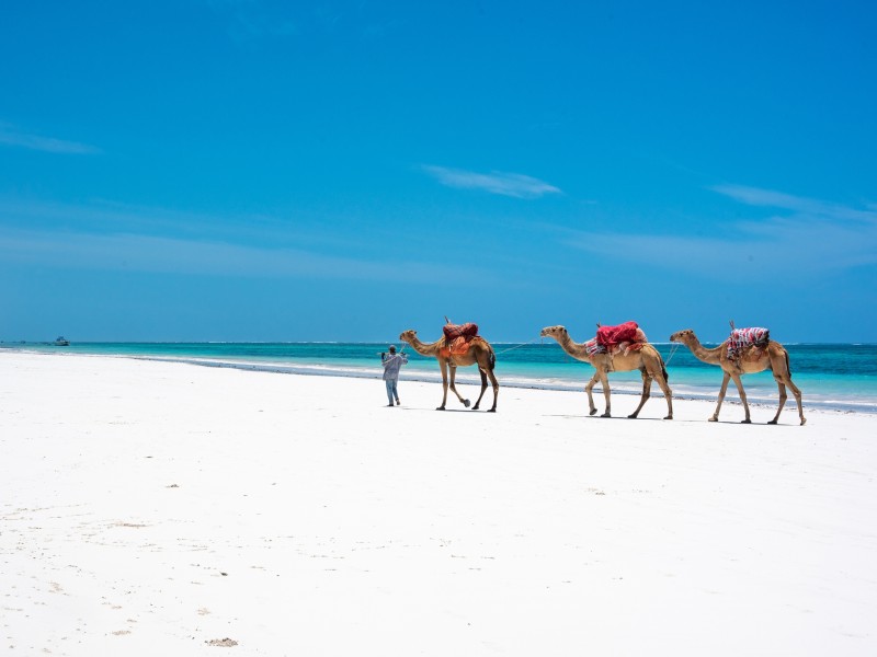 Diani Beach-Mombasa-Kenia