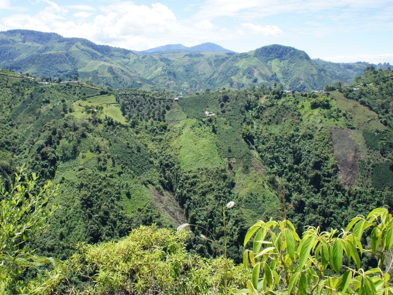 Hügellandschaft bei San Agustin