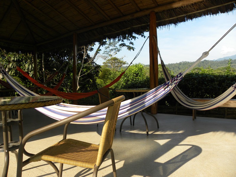Relaxing in a Hammock