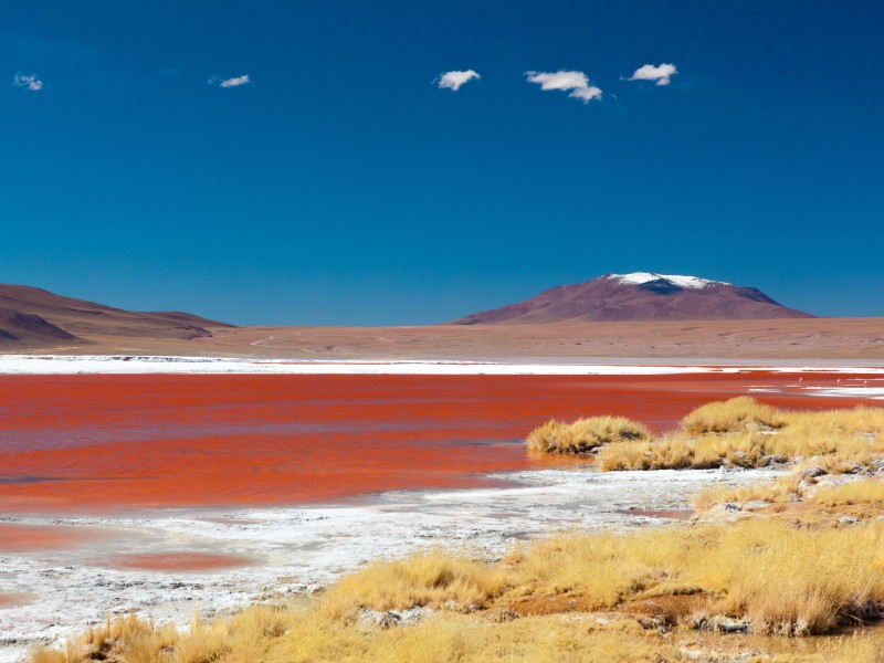 Bolivien - Laguna Colorada