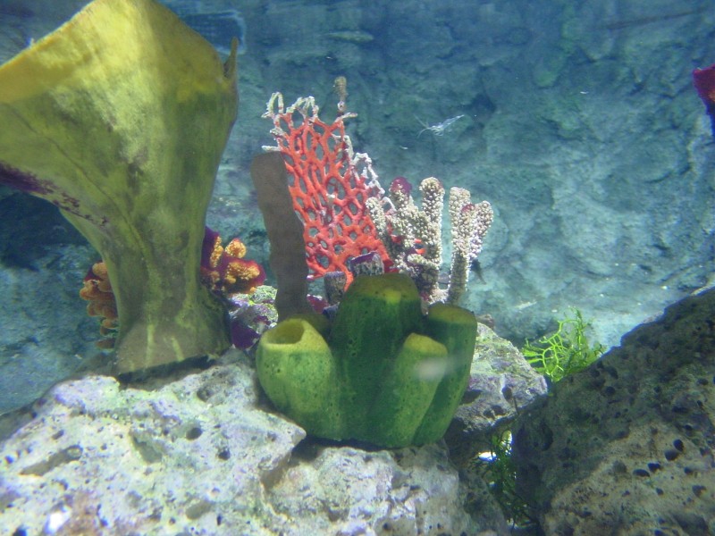 Bocas del Toro Bootsausflug