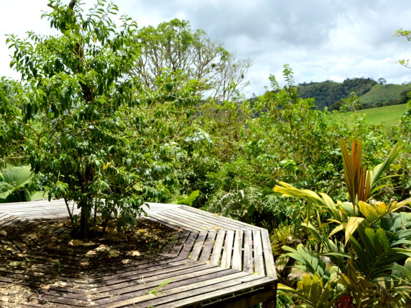 Guayabo Lodge - Landschaft