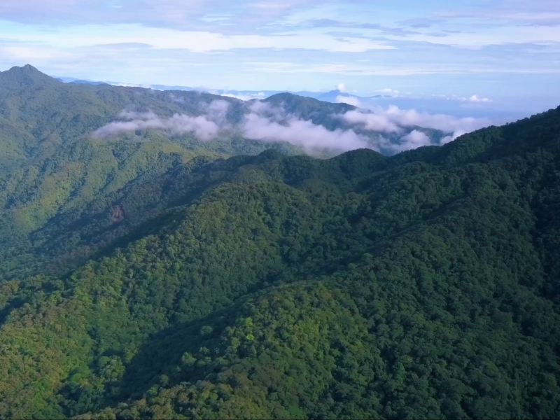 Boquete - Landschaft