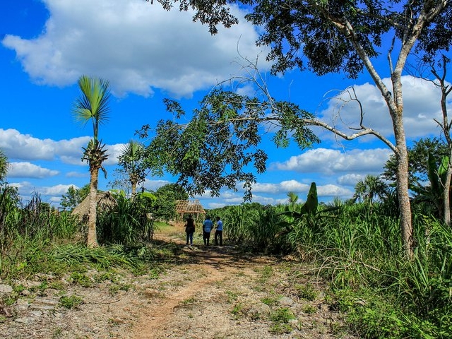 Farming, Cenote & Ek Balam Pyramids Tour