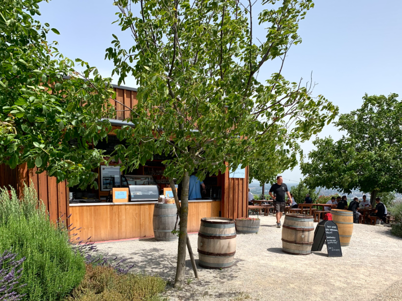 Vienna’s Nussberg Vineyards