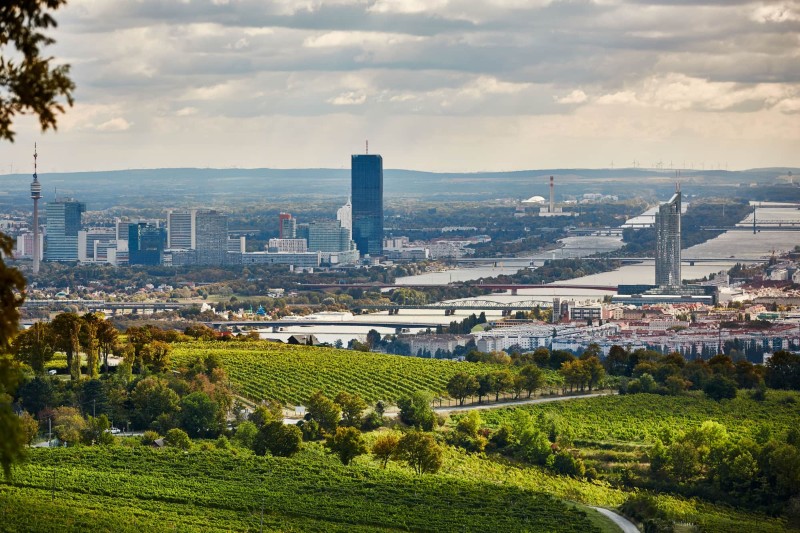 Vienna’s Nussberg Vineyards