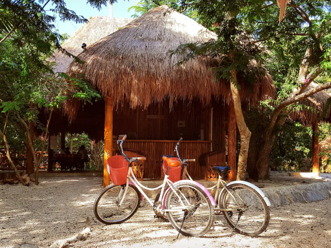 Akumal Natura - Rezeption