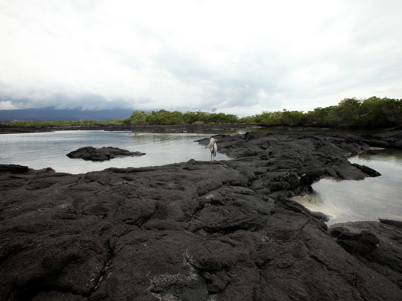 Ganz im Westen: Punta Espinoza