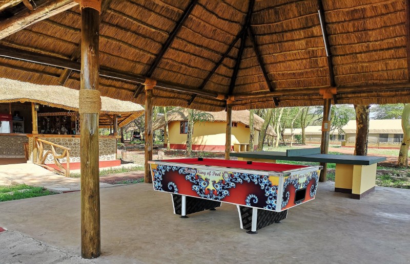 Lake Manyara Games Room
