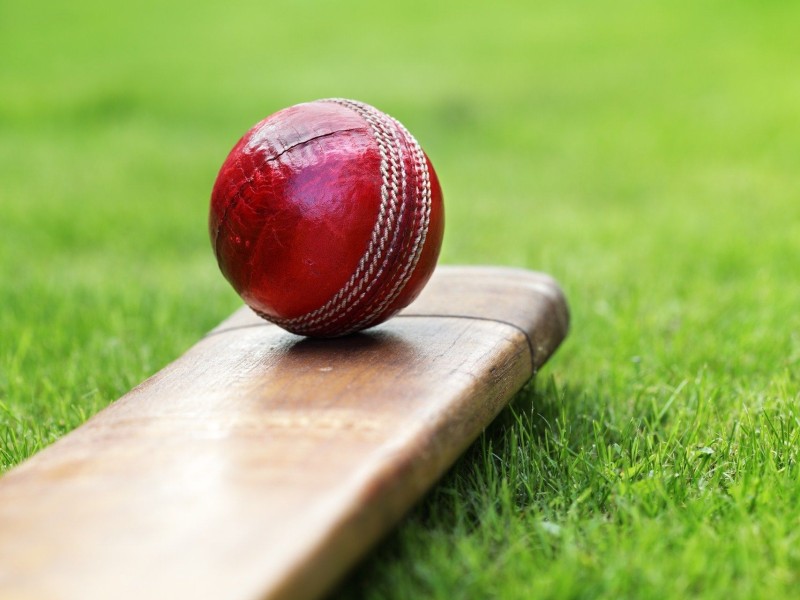 Cricket bat and ball