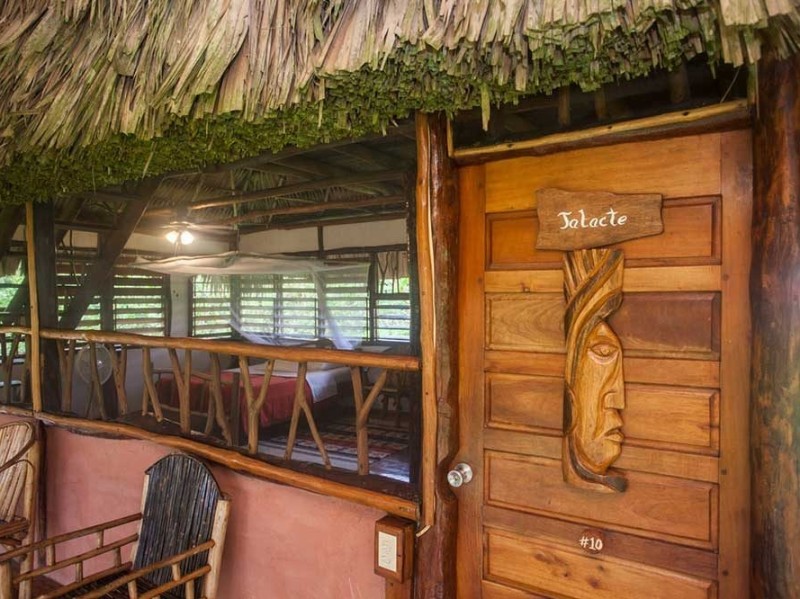 Cotton Tree Lodge - Cabaña