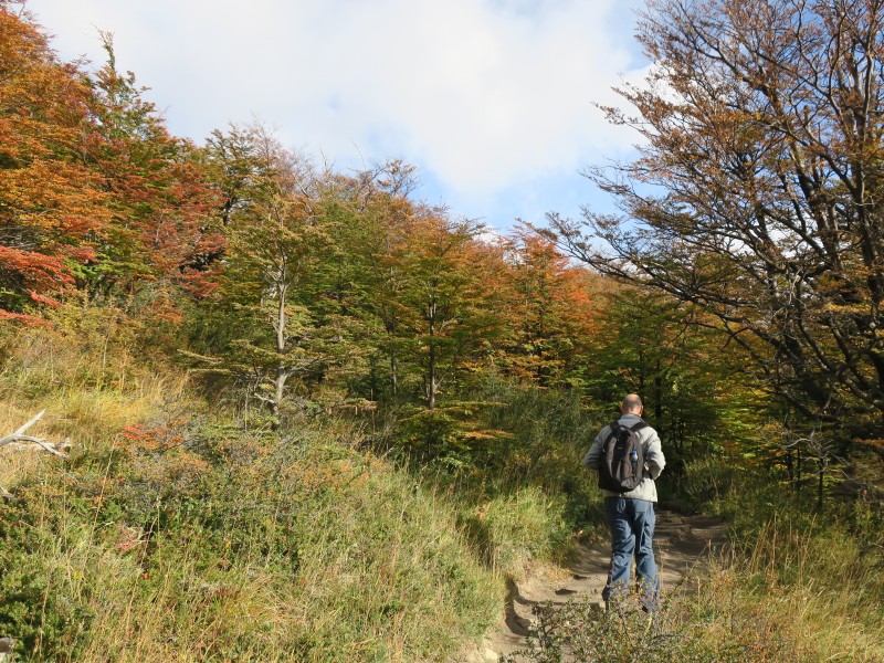 El Chalten - Laguna de los Tres