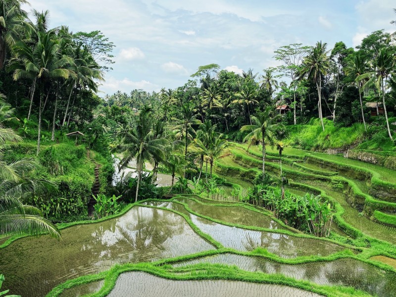 Ubud