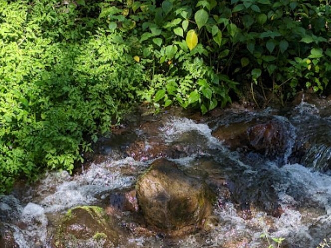 Boquete - Landschaft