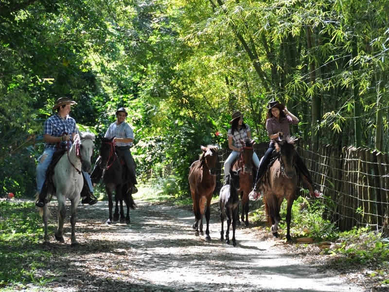 Platon Eco Lodge - Reiten