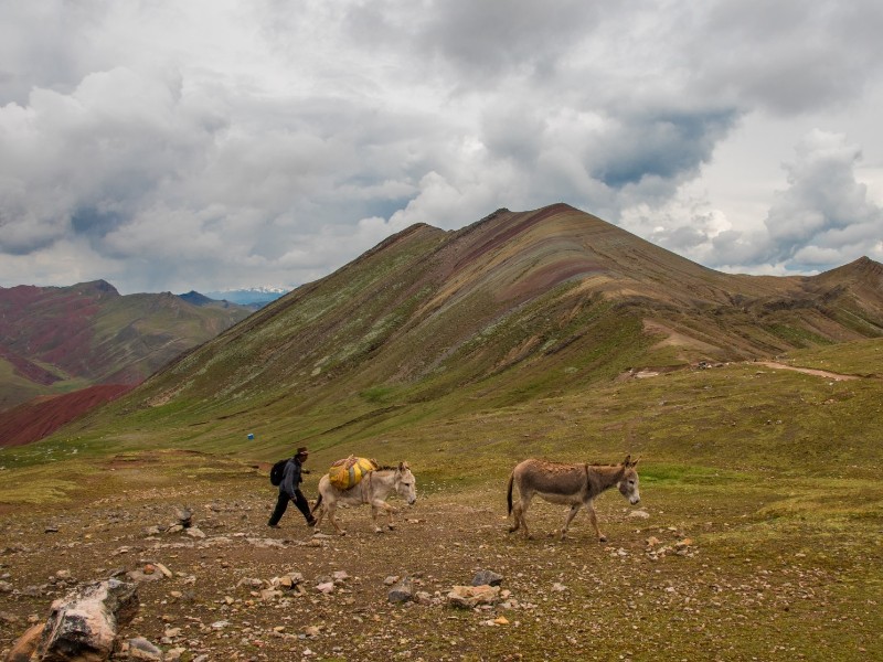 Palcoyo_3